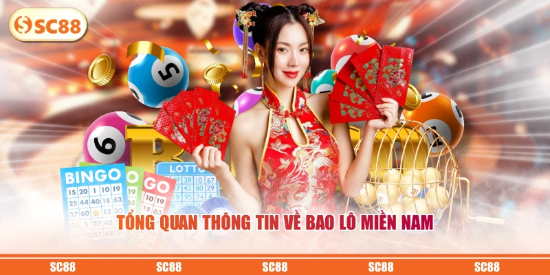 Tổng quan thông tin về bao lô miền Nam 